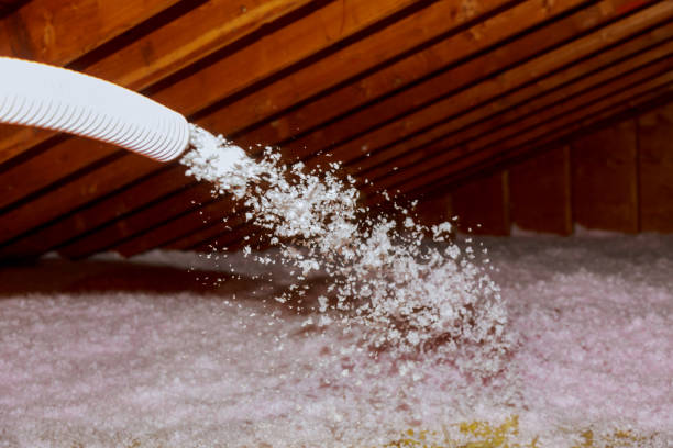 Best Energy-efficient Insulation  in Wilmer, TX
