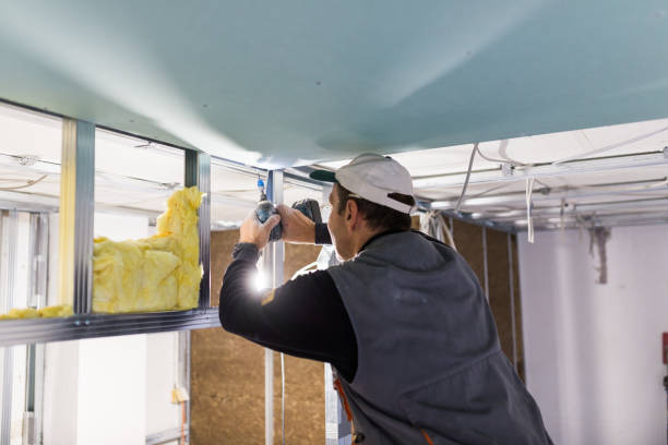 Best Insulation Contractor Near Me  in Wilmer, TX