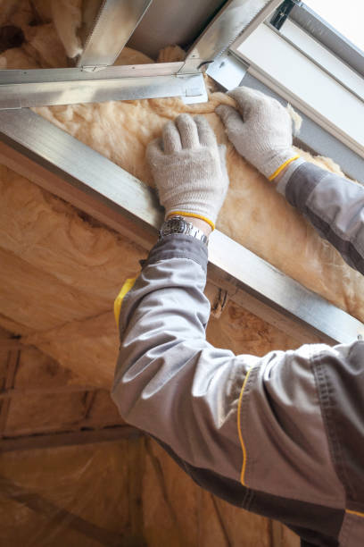 Best Professional Insulation Contractor  in Wilmer, TX