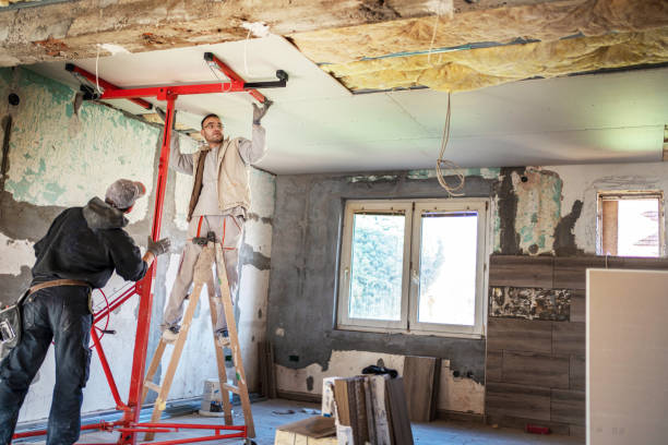 Best Best Insulation Companies  in Wilmer, TX