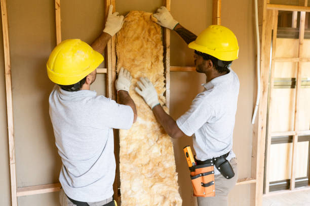 Best Spray Foam Insulation  in Wilmer, TX