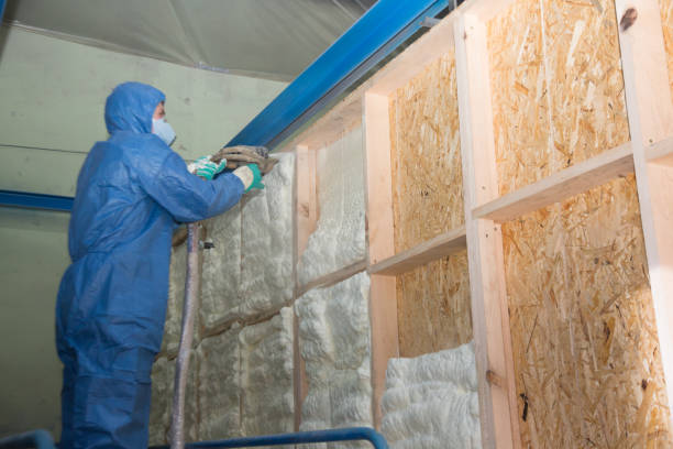 Best Insulation Contractors for Homes  in Wilmer, TX