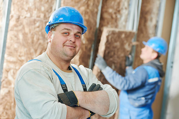 Best Energy-efficient Insulation  in Wilmer, TX