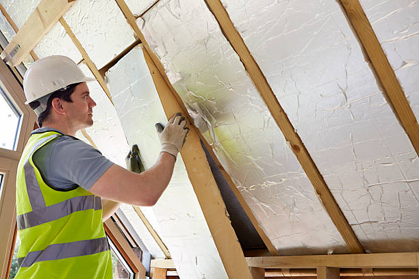 Best Fiberglass Insulation  in Wilmer, TX