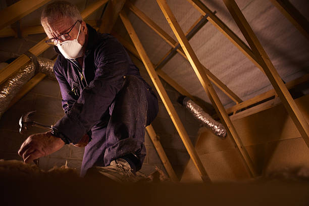 Best Affordable Insulation Services  in Wilmer, TX