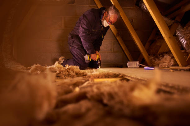 Best Residential Insulation Services  in Wilmer, TX